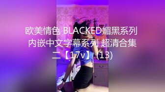 欧美情色 BLACKED媚黑系列 内嵌中文字幕系列 超清合集二【17v】 (13)