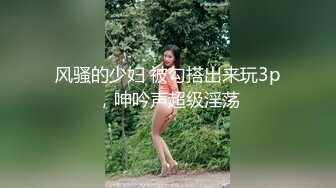 【欧阳专攻良家】泡良达人深夜约操极品小姐姐，超清画质偷拍，风骚淫荡观音坐莲娇喘不断