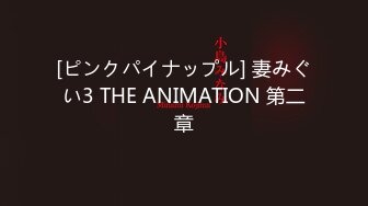 [ピンクパイナップル] 妻みぐい3 THE ANIMATION 第二章