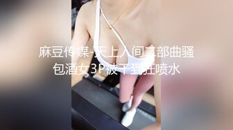 星空传媒，出租女友1 租个女友过大年