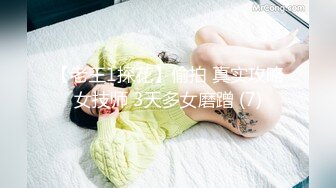 蜜桃影像PME227大胸小妹用骚逼换取哥哥疼爱.