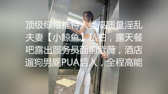 顶级绿帽推特人类高质量淫乱夫妻【小鲸鱼】私拍，露天餐吧露出服务员面前紫薇，酒店遛狗男厕PUA后入，全程高能