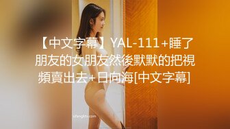 【中文字幕】YAL-111+睡了朋友的女朋友然後默默的把視頻賣出去+日向海[中文字幕]