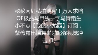 麻豆传媒 MM-045 美女房东来收租 小伙囊中羞涩用肉棒来还债 吴MM