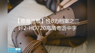 【香港三级】性B力档案之三奸2-HD720高清粤语中字