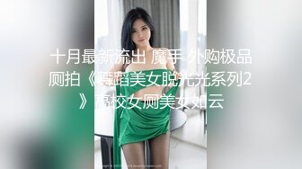 侧入老婆大骚逼