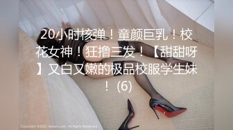 《一字鲍粉嫩女仆》女上位激战大肉