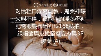 国产麻豆AV MD MD0012 幻想意淫网拍男模