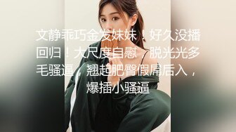 麻豆传媒-偷拍私房性事新手女模诱拐性爱-顾桃桃