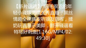 乳夹调教，勾人小妖精太会诱惑人了 看了就想侵犯