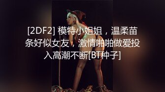 《极品CP魔手外购》价值千元坑神巨作！商场全景特写镜头偸拍女卫超多小姐姐方便~有极品美女各种性感大屁股视觉盛宴 (1)