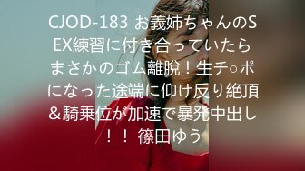 (中文字幕) [hmn-155] 昔の都合の良いセフレに3年ぶりに再会したら最高に綺麗な人妻になっていたので…旦那が仕事から帰る20時までのあいだ中出ししまくった。 美谷朱里