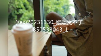 chv-013(17chv00013)[ruby]昭和性犯罪白書昭和79〜84版