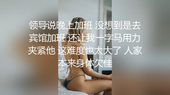 蓝色女仆装女友上线