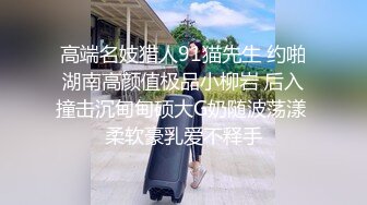 抖S麥娜會長大人被抖M筆記支配了 3