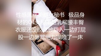 新人小女神下海被干！【波多表姐】多场无套吃鸡啪啪，小仙女被干得嗷嗷叫，清纯外表下这么淫荡佳作 (4)