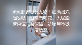 高跟丝袜露脸微SM,小骚逼的情趣性生活三个洞都可以玩