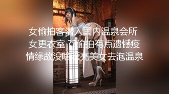 大奶老婆第一二季