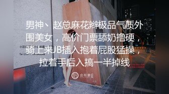 【自整理】Lauren Blake 长相很经典  身材更经典 表情很诱人  最新流出视频合集【nv】 (104)