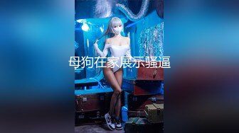 【新片速遞】  麻豆传媒&amp;Pussy Hunter PS008 搭讪最美女神 绫波麗【水印】