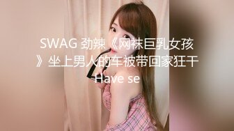 SWAG 劲辣《网袜巨乳女孩》坐上男人的车被带回家狂干Have se