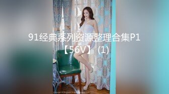 91经典系列资源整理合集P1【56V】 (1)