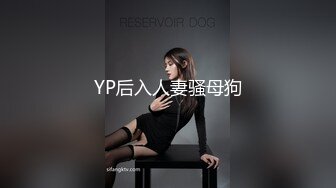 YP后入人妻骚母狗