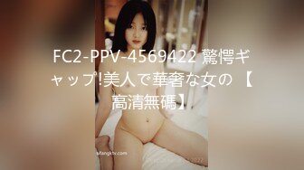 白昼不伦妻 日本男を引き入れアナルも中出しもする美巨乳人妻 VOL2 Sofia