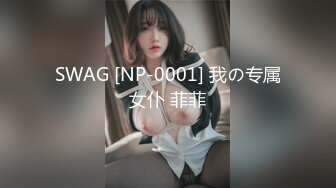 SWAG [NP-0001] 我の专属女仆 菲菲