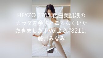 HEYZO 2761 色白美肌娘のカラダを余すところなくいただきました！Vol.2 &#8211; 藤井みなみ